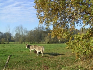 20111120.Zwijnaarde(PWC) 007 (Medium)