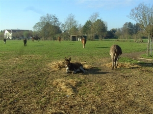 20111120.Zwijnaarde(PWC) 008 (Medium)