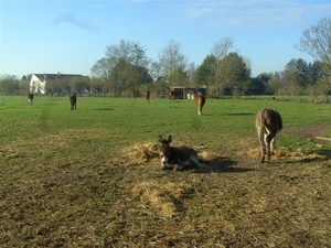 20111120.Zwijnaarde(PWC) 009 (Medium)