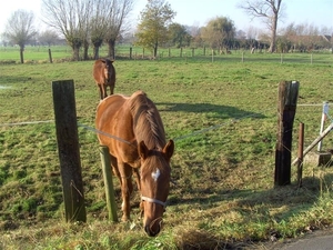 20111120.Zwijnaarde(PWC) 014 (Medium)