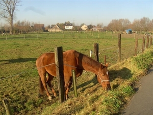 20111120.Zwijnaarde(PWC) 015 (Medium)