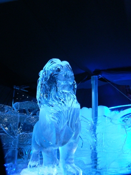 BRUGGE NOVEMBER 2011 IJSCULPUREN 090