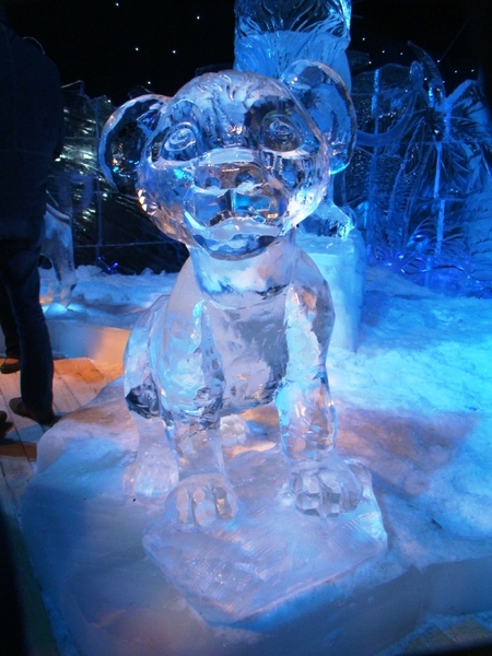 BRUGGE NOVEMBER 2011 IJSCULPUREN 091