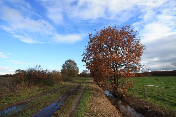 Herfst