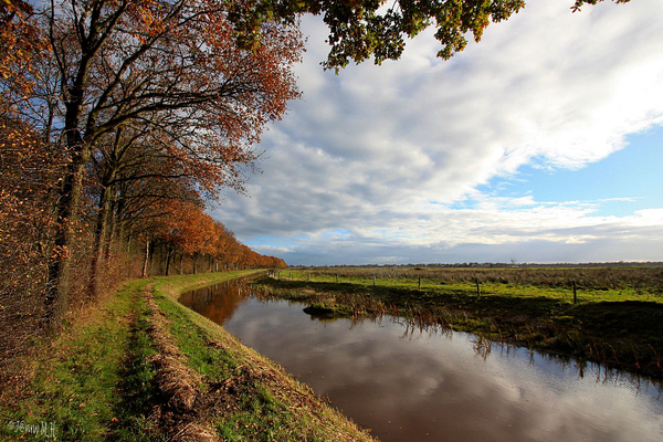 Smeerling herfst 123 Large e-mail view