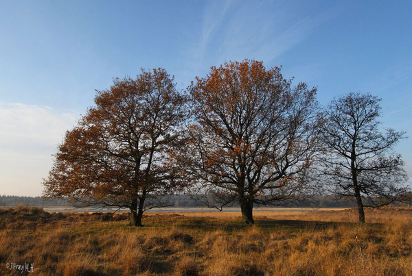 Herfst