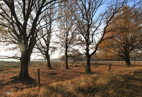 Herfst