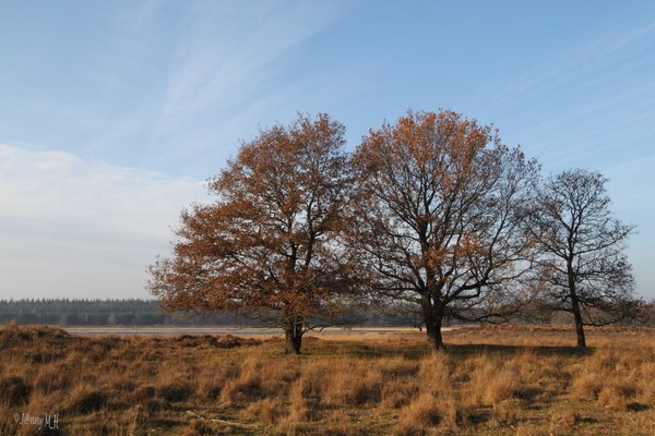 Herfst