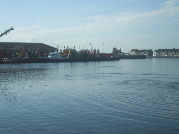 Eberhardt junius 2009 112