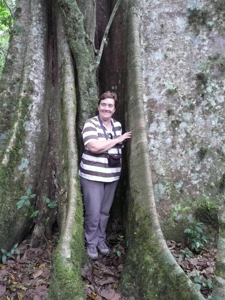 Amboro nat (45) (Large) (2)