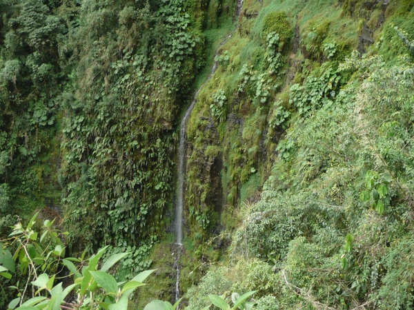 Dead road (25) (Large)