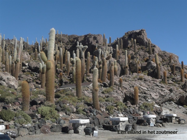 Uyuni en zouvlakte (33) (Large)