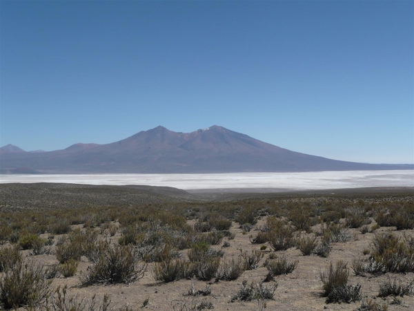 Uyuni en zouvlakte (52) (Large)