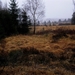 Veen in wintermode
