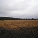 Richting Camp Russe