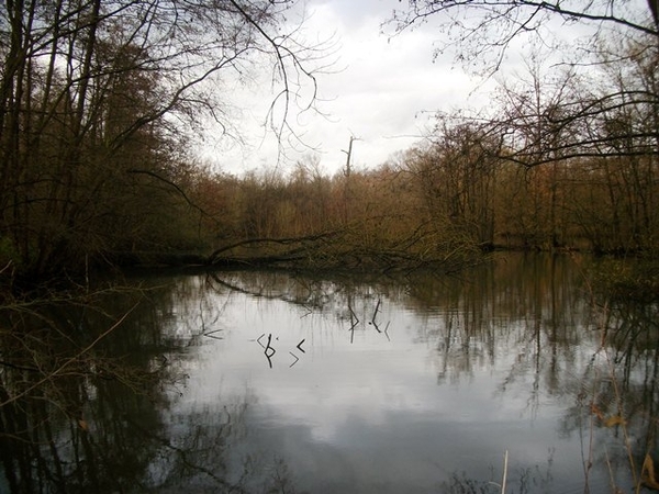 80-Vijvers in domeinbos-Het Broek