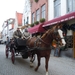 Brugge 5-12-2011 022