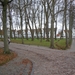 Brugge 5-12-2011 028