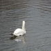 Brugge 5-12-2011 043