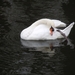 Brugge 5-12-2011 044