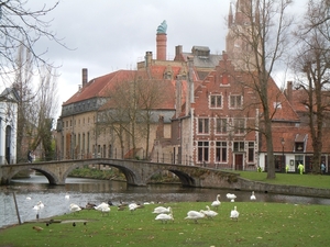 Brugge 5-12-2011 053