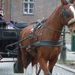 Brugge 5-12-2011 054