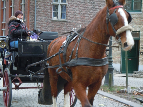 Brugge 5-12-2011 054