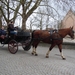 Brugge 5-12-2011 055