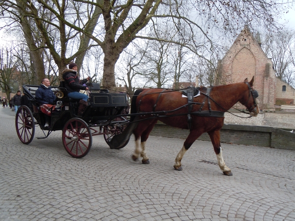 Brugge 5-12-2011 055