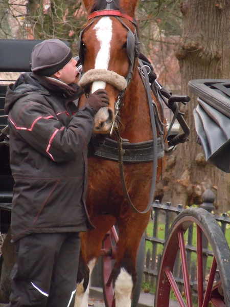 Brugge 5-12-2011 059