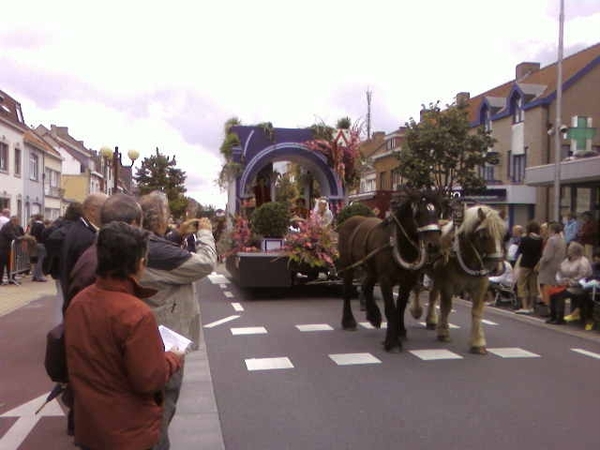 KOK BLOEMEN CORSO