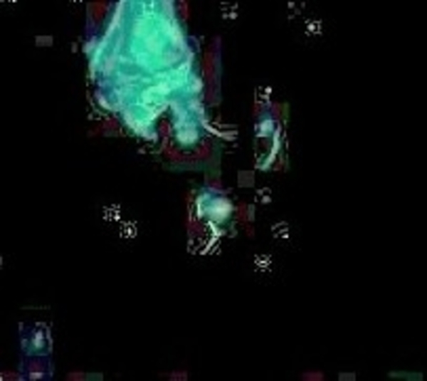 ex dia zoo en zoo JoseeMarg