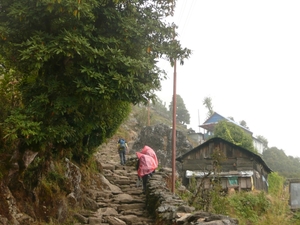nepal 1 178