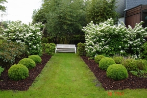 richting bamboe tuin