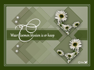 Waar bloemen bloeien is er hoop!