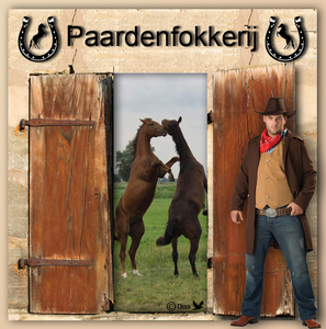 Paardenfokkerrij - PROJECT 193 DINA