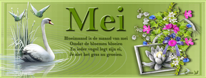 Banner Mei voor facebook