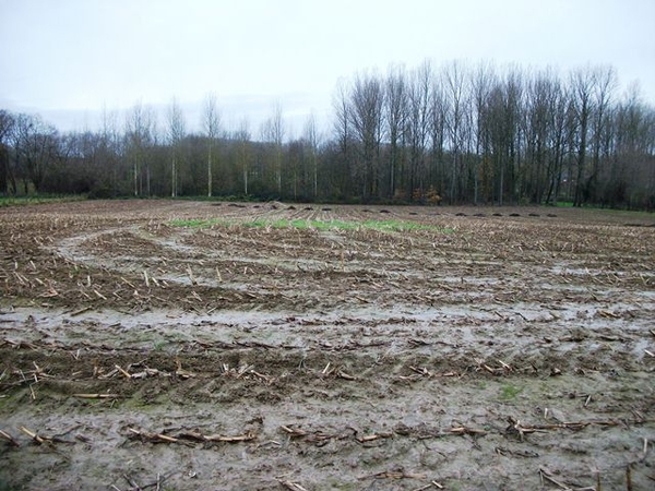 48-Zicht op Pajottenland