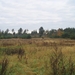 zwerfvuil 001