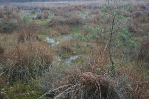 boshuis ontbijt 025