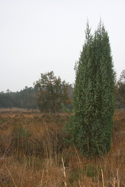 boshuis ontbijt 029