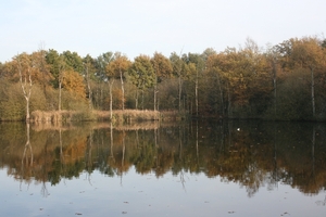 Beerse 18