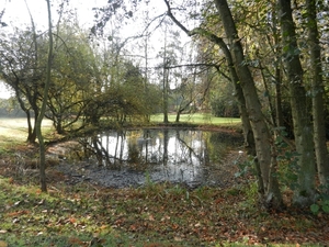 DSCN0153
