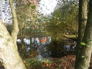 DSCN0154