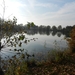 DSCN0179