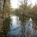 DSCN0186