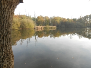 DSCN0191