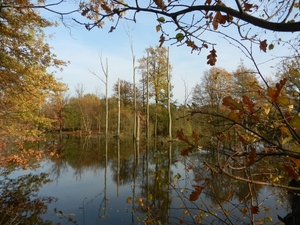 DSCN0192