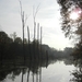 DSCN0194