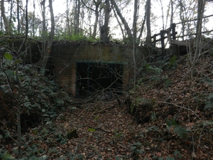 DSCN0203